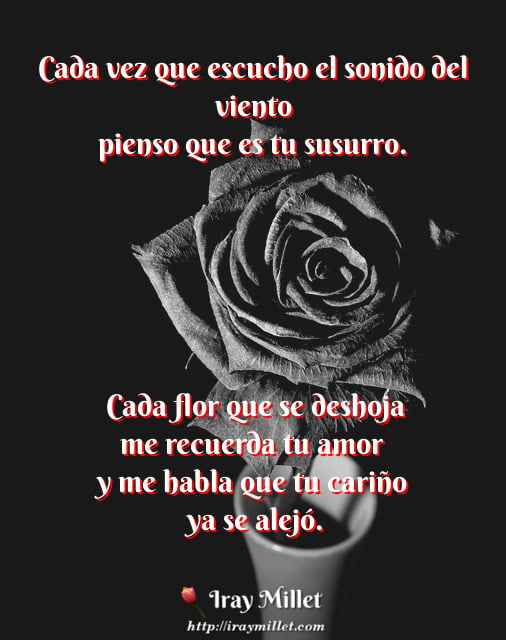 SIN TU CARINO sin tu carino: